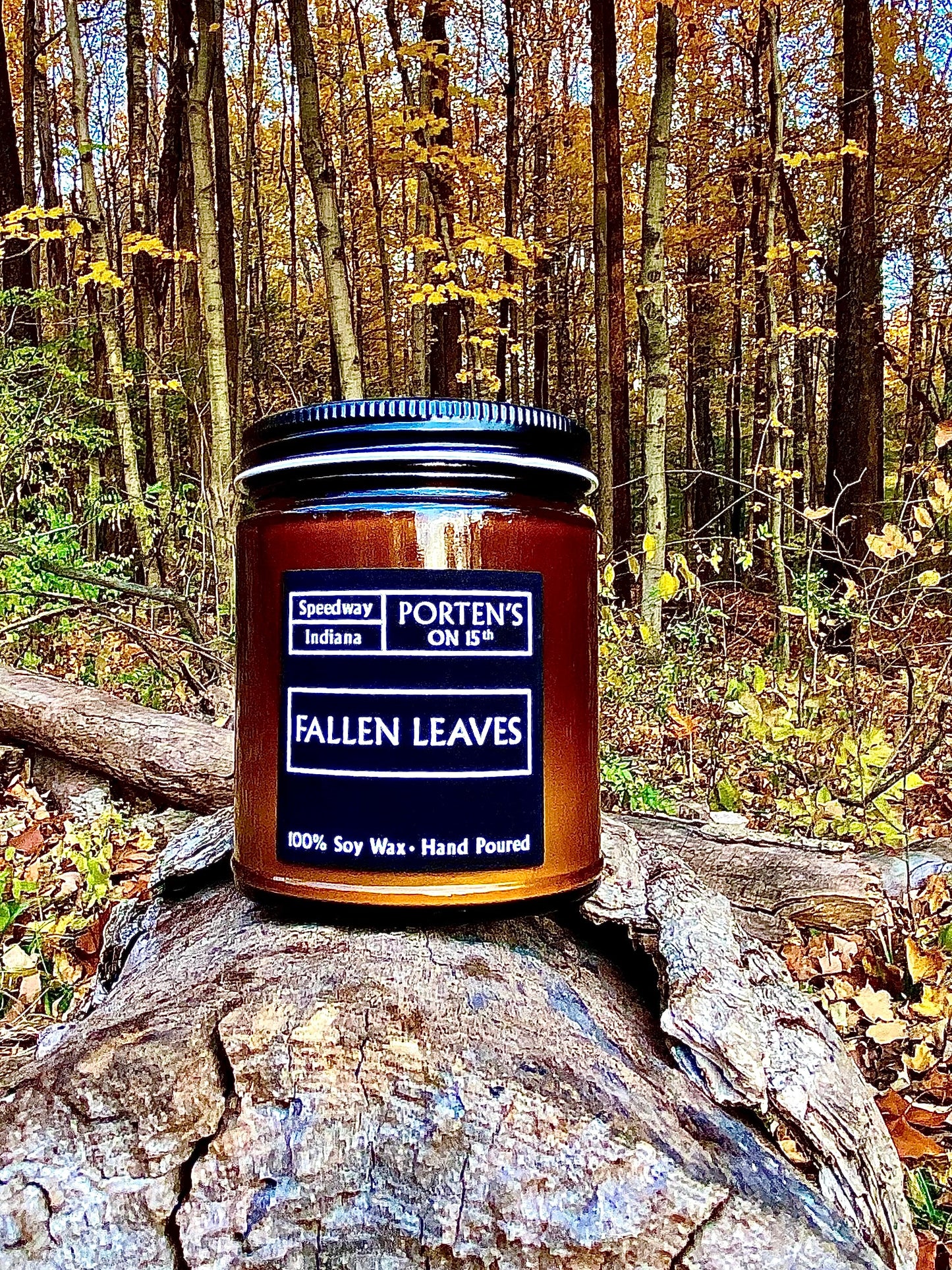 Fallen Leaves