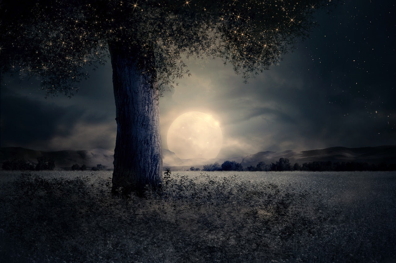 Harvest Moon