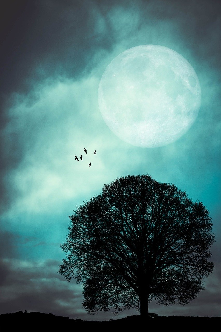 Harvest Moon