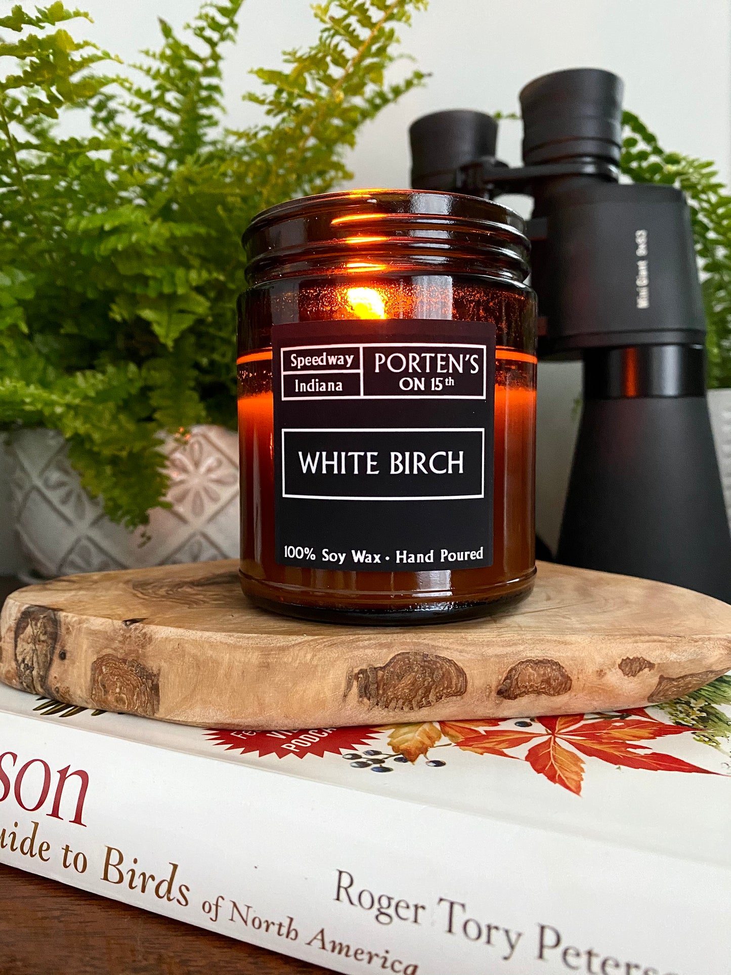 White Birch